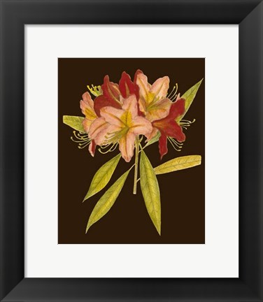 Framed Crimson Blooms III Print