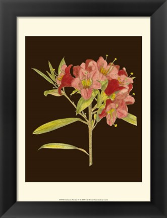 Framed Crimson Blooms IV Print