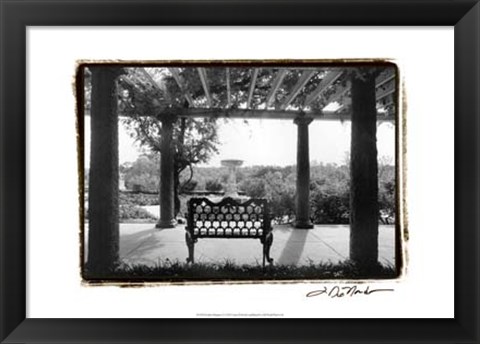 Framed Garden Elegance I Print