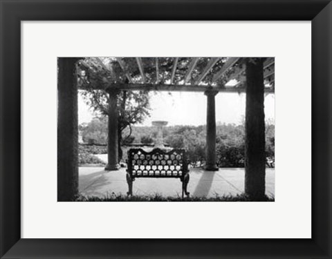 Framed Garden Elegance I Print