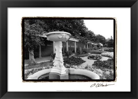 Framed Garden Elegance II Print