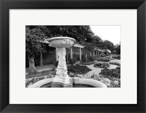 Framed Garden Elegance II Print