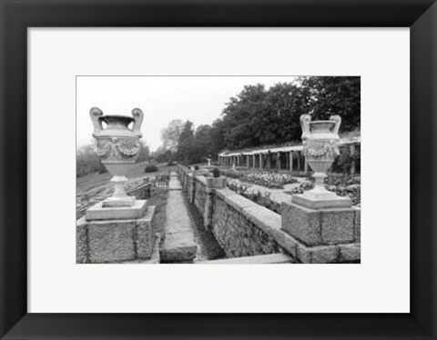 Framed Garden Elegance III Print