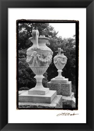 Framed Garden Elegance IV Print