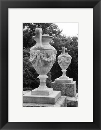 Framed Garden Elegance IV Print