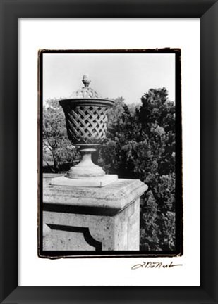 Framed Garden Elegance VI Print