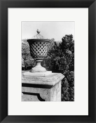 Framed Garden Elegance VI Print