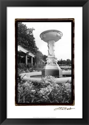 Framed Garden Elegance VII Print