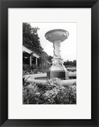 Framed Garden Elegance VII Print