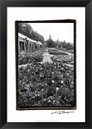 Framed Garden Elegance VIII Print