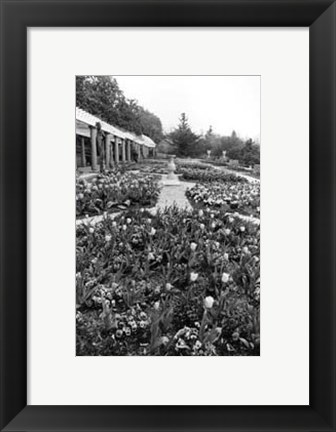 Framed Garden Elegance VIII Print