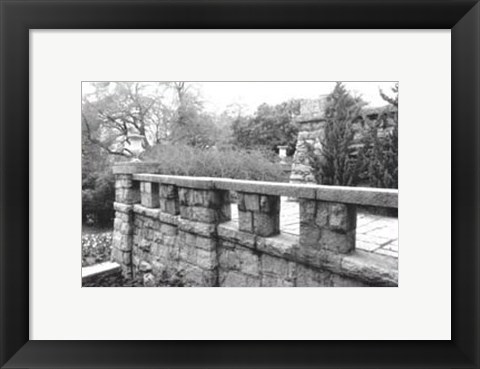 Framed Garden Grace I Print