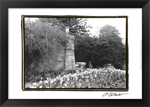 Framed Garden Grace II Print