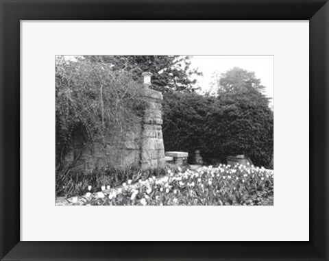 Framed Garden Grace II Print