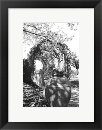 Framed Garden Grace IV Print