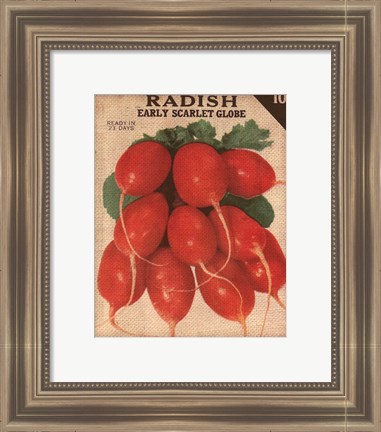 Framed Heirloom Variety I Print