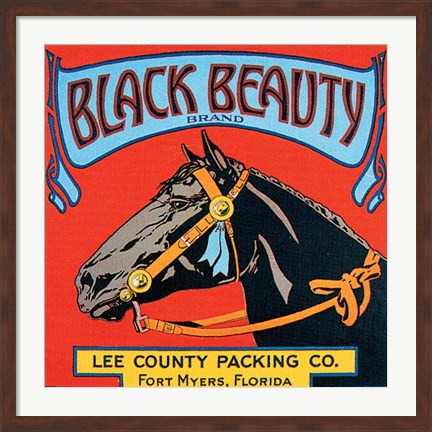 Framed Black Beauty Print