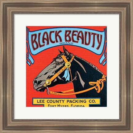 Framed Black Beauty Print