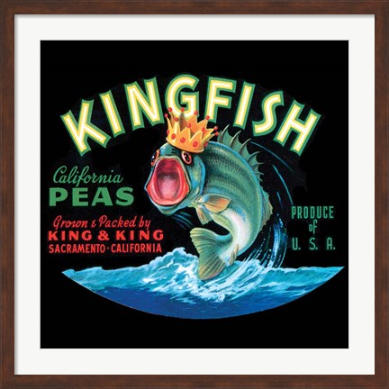 Framed Kingfish Print