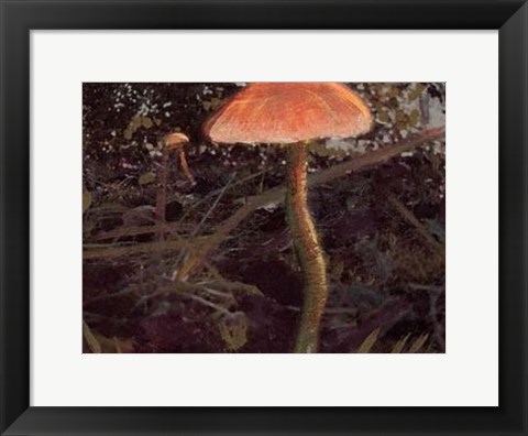 Framed Forest Floor I Print