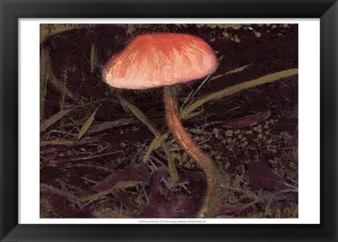 Framed Forest Floor II Print