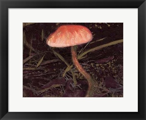 Framed Forest Floor II Print