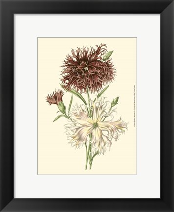 Framed Blushing Blossoms IV Print