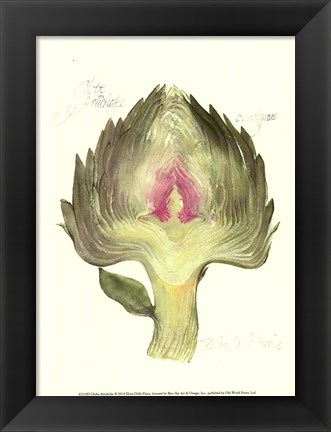 Framed Globe Artichoke Print