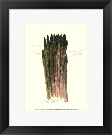 Framed Asparagus Officinalis Print