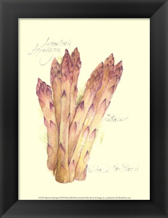 Framed Argenteuil Asparagus Print