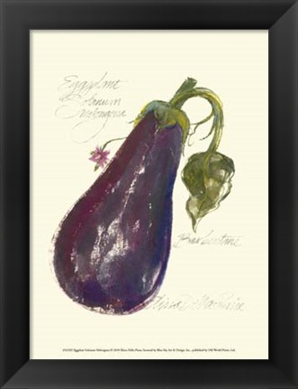 Framed Eggplant Solanum Melongena Print