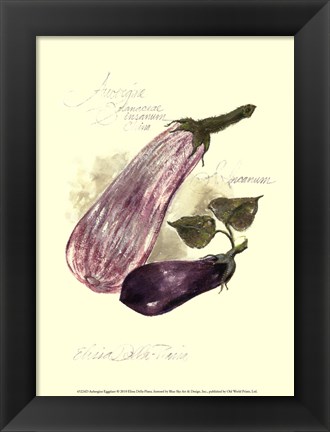 Framed Aubergine Eggplant Print