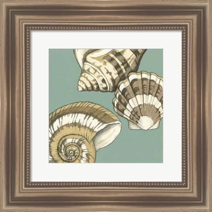 Framed Small Shell Trio on Blue II (P) Print