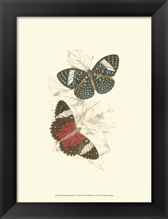 Framed Butterflies I Print