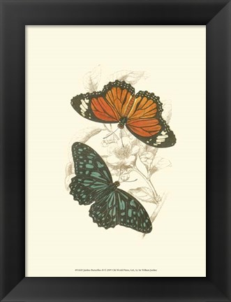 Framed Butterflies II Print