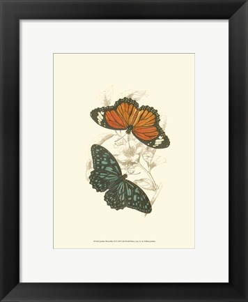 Framed Butterflies II Print