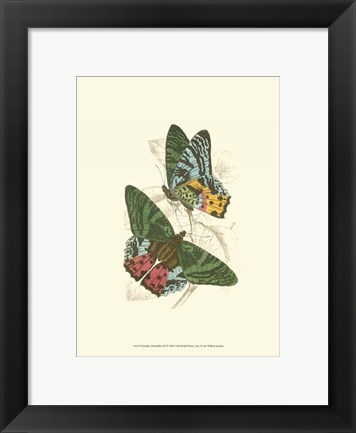 Framed Butterflies III Print