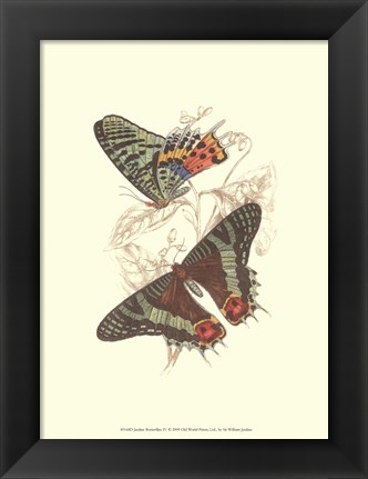 Framed Butterflies IV Print