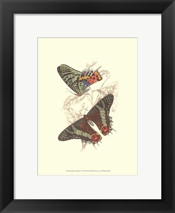 Framed Butterflies IV Print