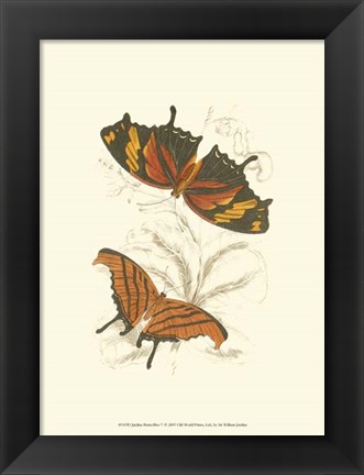 Framed Butterflies V Print