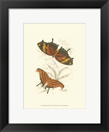 Framed Butterflies V Print