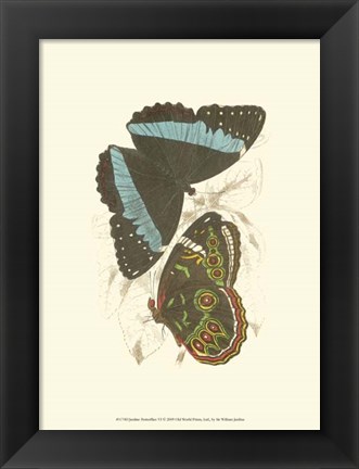 Framed Butterflies VI Print