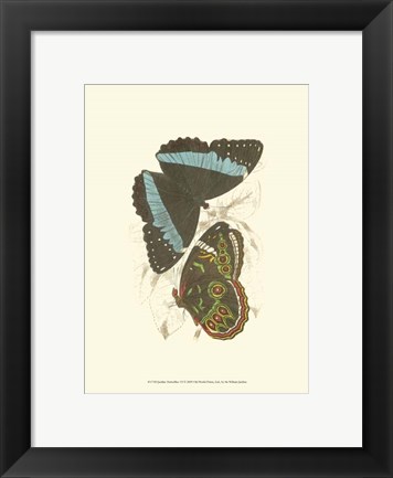 Framed Butterflies VI Print