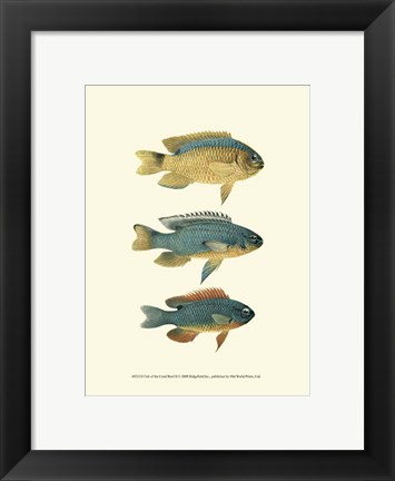 Framed Fish of the Coral Reef II Print