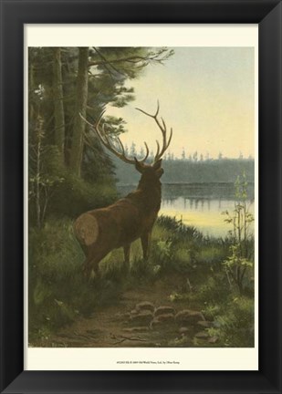 Framed Elk Print