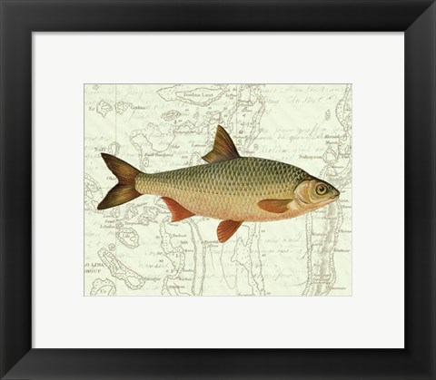 Framed Freshwater III Print