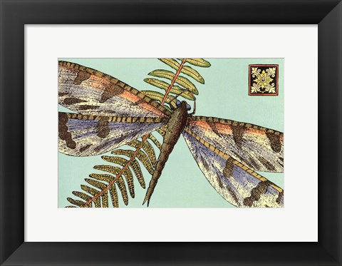 Framed Dragonfly on Aqua I Print