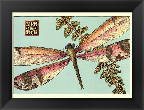 Framed Dragonfly on Aqua II Print