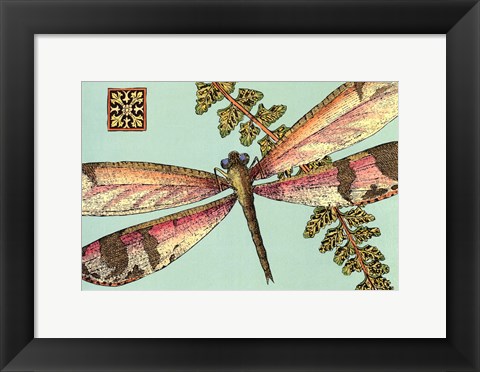 Framed Dragonfly on Aqua II Print