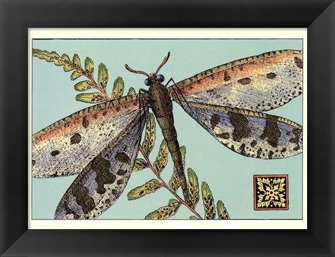 Framed Dragonfly on Aqua III Print